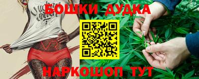 гидра Дубна