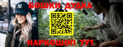 гидра Дубна