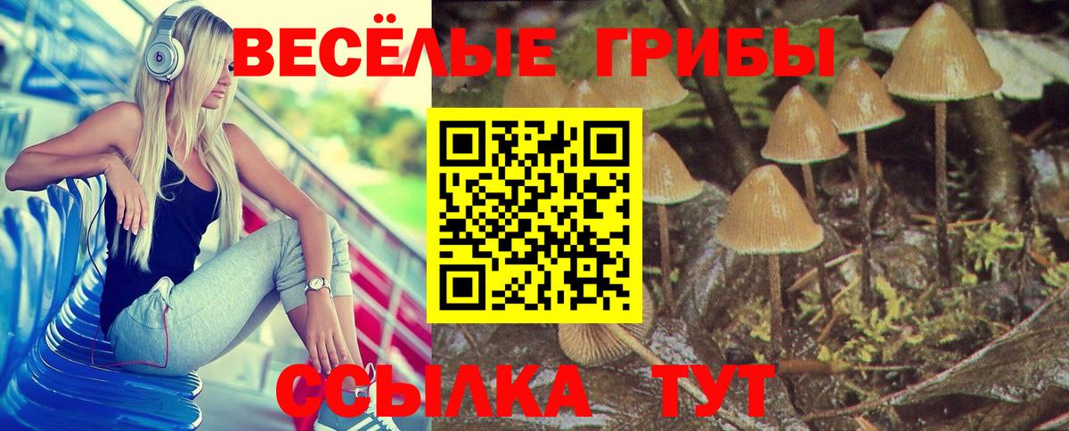 Меф   Конопля  Мичуринск  NBOMe  LSD-25  Кокаин  ГАШ  Вход с VPN 
