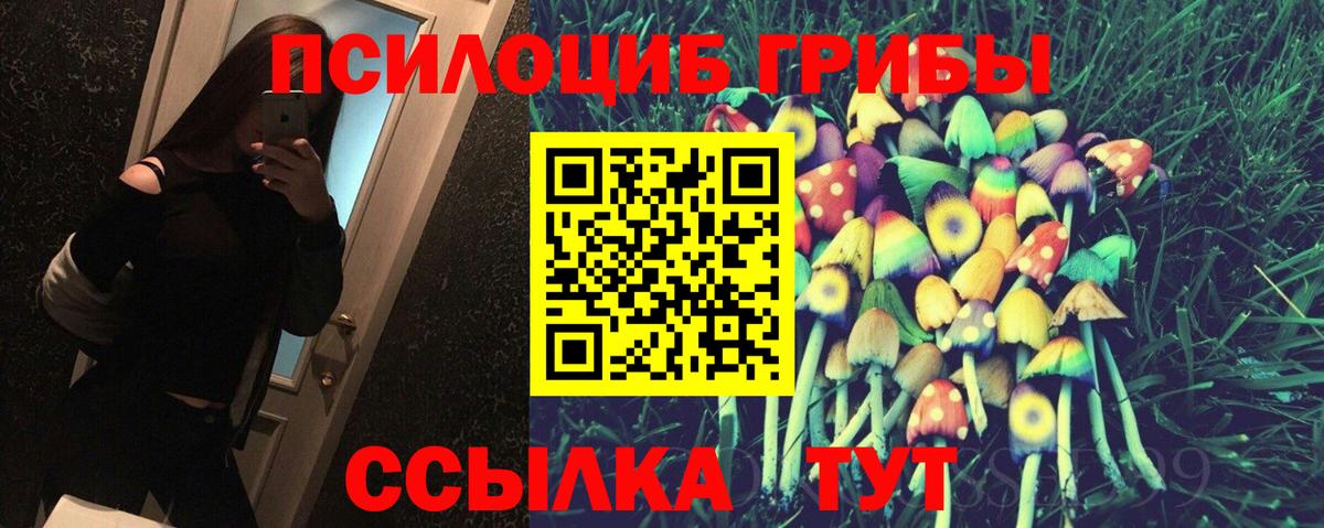 Галлюциногенные грибы Magic Shrooms Мичуринск