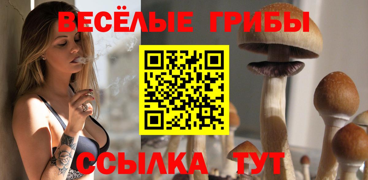 Мичуринск  Псилоцибиновые грибы Psilocybine cubensis  Псилоцибиновые грибы ЛСД  Вход с VPN 